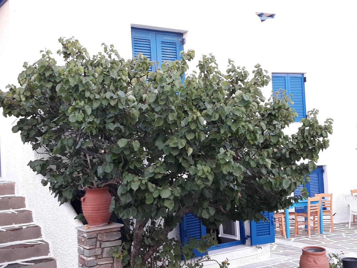 Holidays In Paros อลิกิ ภายนอก รูปภาพ