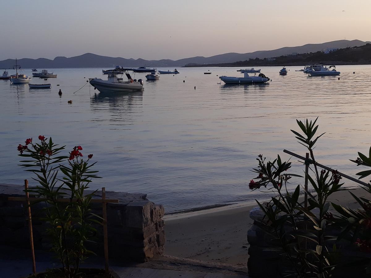 Holidays In Paros อลิกิ ภายนอก รูปภาพ