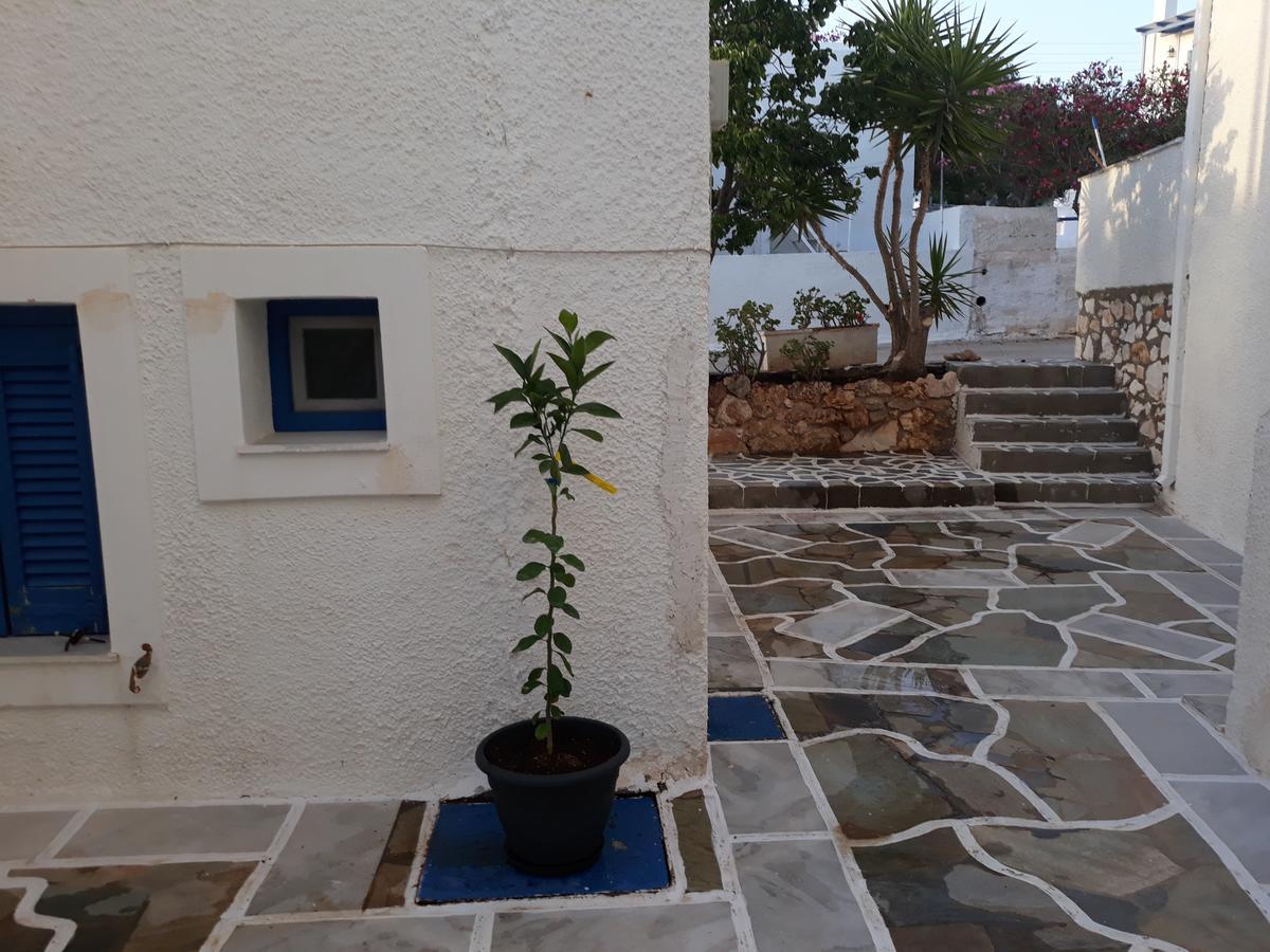Holidays In Paros อลิกิ ภายนอก รูปภาพ